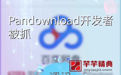 百度网盘下载工具pandownload开发者被抓