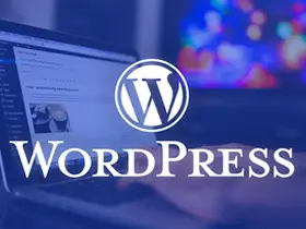 wordpress将中文标签别名批量转换为拼音或者英文