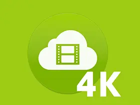 4k video downloader v4.31.2.0102中文便携版