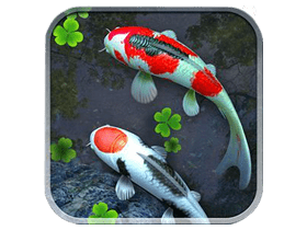 water garden premium鱼池 v1.85 for android解锁完整版-锦鲤池塘动态壁纸